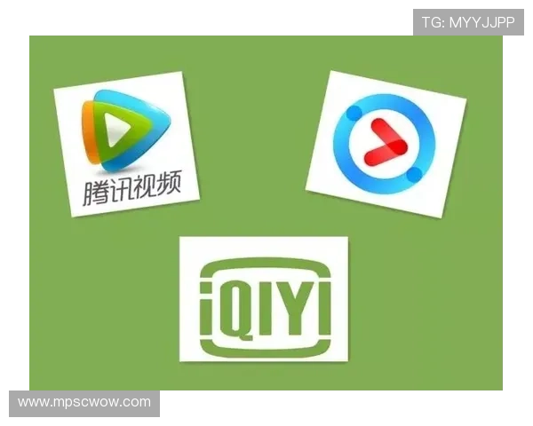 环球体育手机官网介绍会员专属的赛事优先观看权与专属礼遇